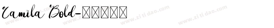 Camila Bold字体转换